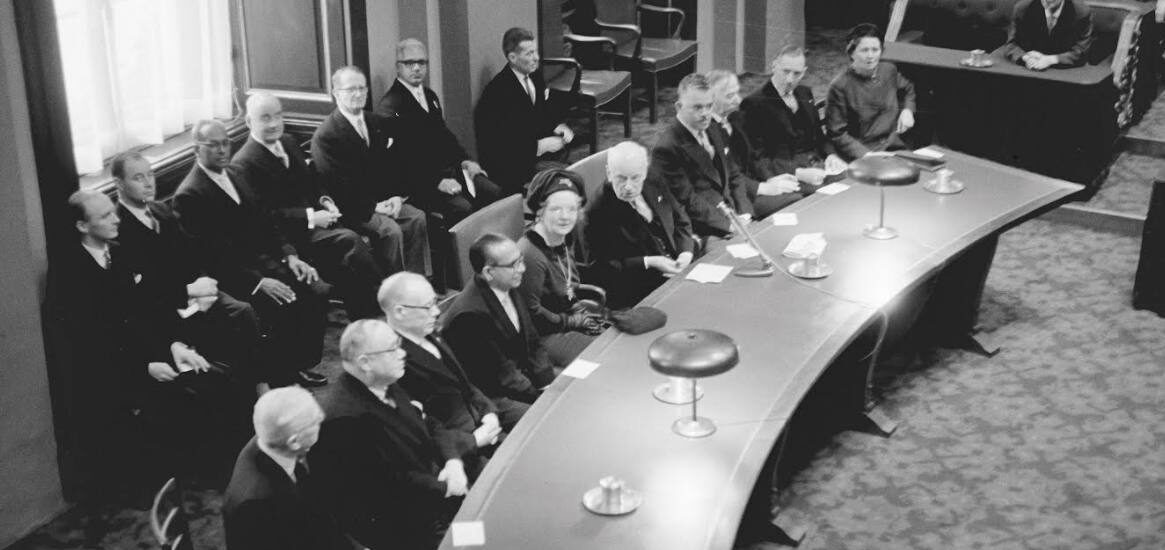 adviseert de regering en de eerste en tweede kamer