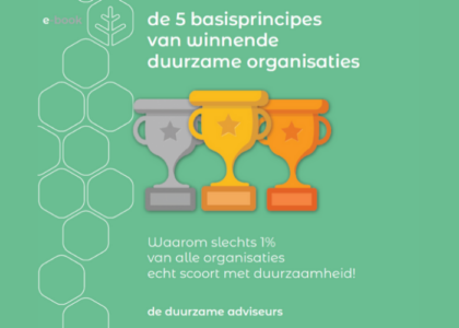 voorbeelden van duurzaamheid