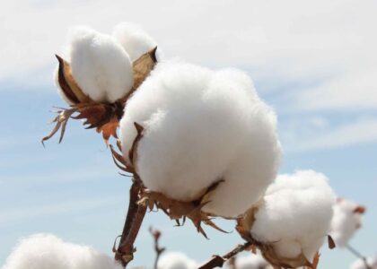 wat zijn duurzame materialen