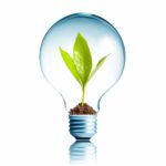 ecologische duurzaamheid